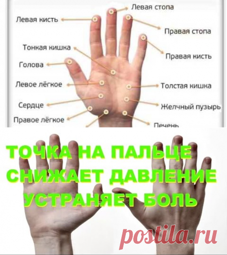 (72) Одноклассники