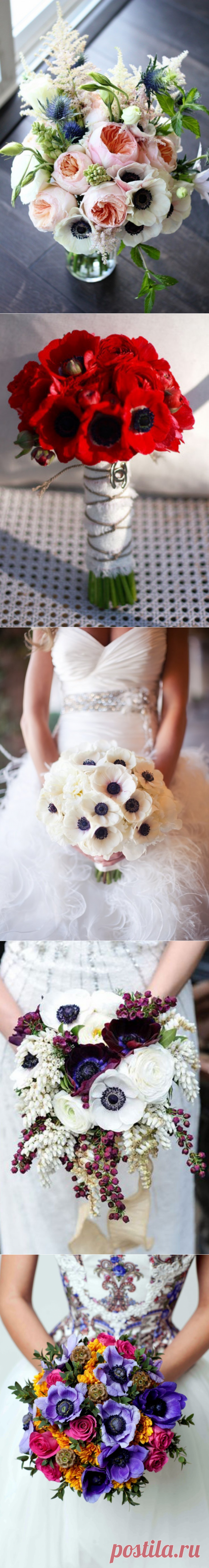 Анемоны в букете невесты
Анемоны – это олицетворение нежности, они лучше всяких слов расскажут о чувствах партнеров, их вкусах. Они означают искренность, надежду, взаимность, а также эмоциональность, радость и удачу. Общий смысл букета: «мне хорошо с тобой».