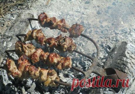 Дачные приколы / Писец - приколы интернета