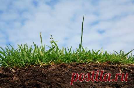 Как определить тип почвы и ее кислотность - Садоводка