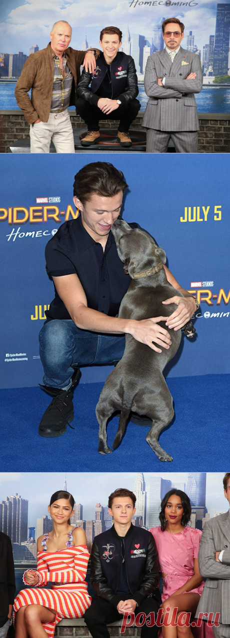 Человек-паук: Возвращение домой (2017)