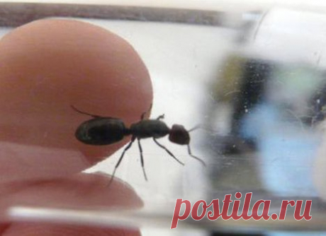 Итак... список самых редких профессий. | Colors.life Торговец мечтами.
Почтовый клерк мечтает стать на одну ночь великим актером. Бизнесмен мечтает управлять мн�