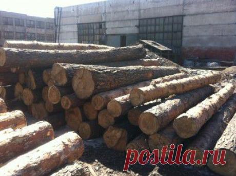 Покупка. продажа леса
пиловочный.
Доска.брус.строительные материалы.
https://vk.com/club72725806
https://special-service.info/listings/4--
https://www.odnoklassniki.ru/group/53180123381877
