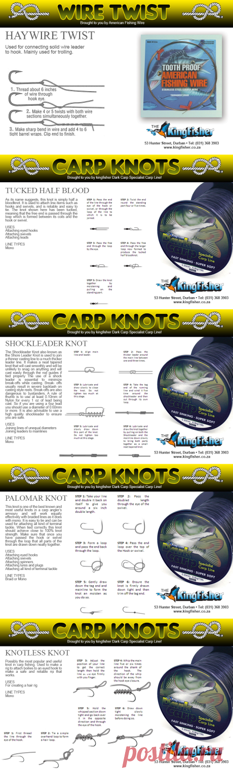 Knots | Sections |