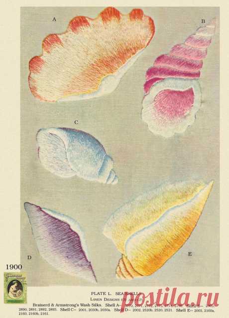 Brainerd & Armstrong L 1900