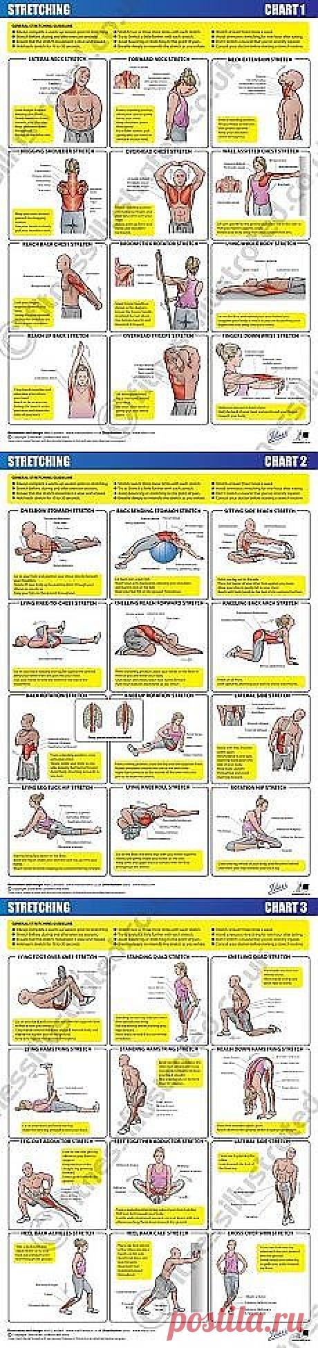Спорт-упражнения | Здоровье тела и души. Как?