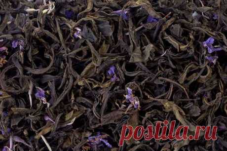 Иван чай: полезные свойства и противопоказания, как заваривать