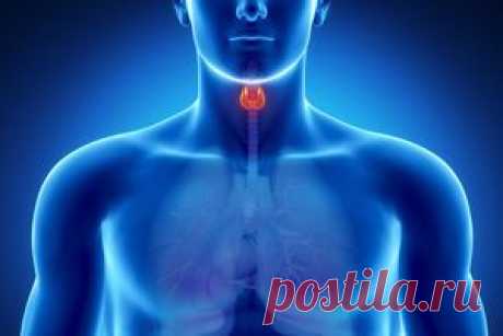 Узлы в щитовидной железе: тактика и подходы к лечению