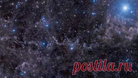 Из ближайшей к Земле планетной системы пришел странный радиосигнал Телескоп Паркса уловил сигнал, исходящий от Проксимы Центавры. Эта звезда расположена на расстоянии 4,2 световых лет от Солнца.