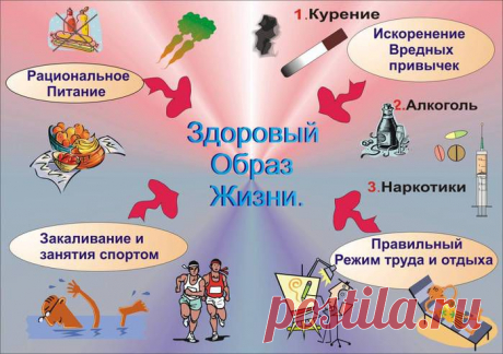 СМЕШНАЯ СХЕМА НА МЕДИЦИНСКУЮ ТЕМУ: 12 тыс изображений найдено в Яндекс.Картинках