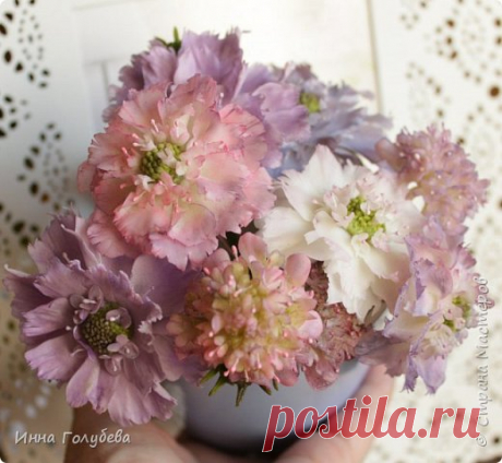 Скабиоза из холодного фарфора и фото процесса. | Страна Мастеров