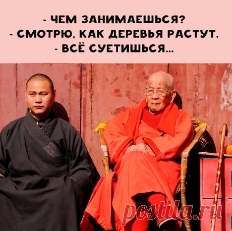 Суета...