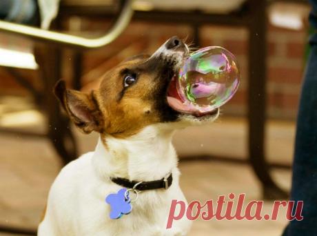 18 уникальных снимков, которые удалось сделать чисто случайно