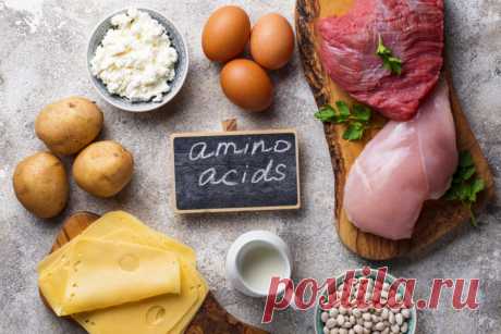 Аргинин - важнейшая аминокислота в организме | Университетская клиника