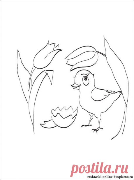 Раскраска с маленьким вылупившимся цыпленком | Раскраски для детей