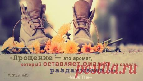 Мудрые, позитивные и короткие высказывания о жизни великих людей