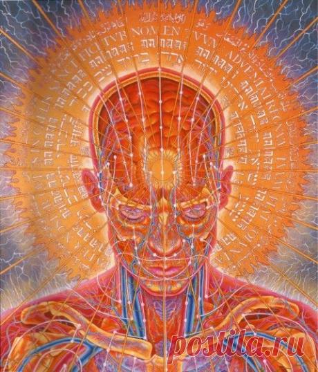 Мысли, слова и поступки - составляющие мировых вибраций. Как мы творим реальность - rastimul.com.ua