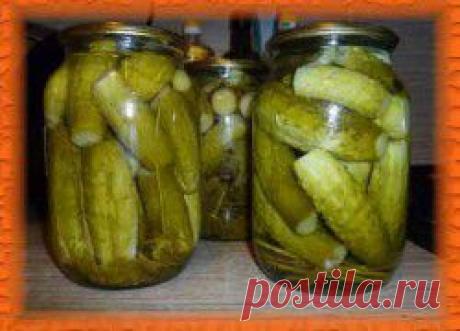 Снедание | Кулинарные рецепты - Часть 15 маринованные огурцы лучший рецепт