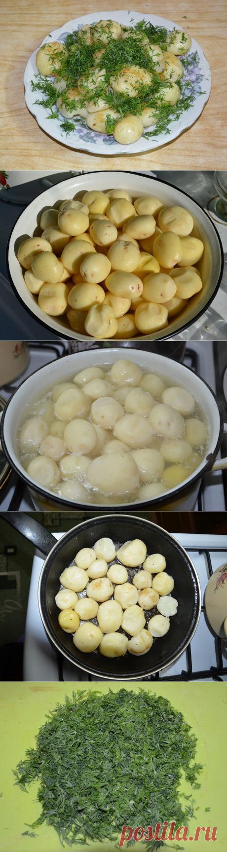 Молодая картошечка с уропом.
Дачники только сажают картошку, а на рынках уже можно купить молоденькую. Что мы и сделали:)
Делюсь с вами очень простым, но одним из моих любимых рецептов.