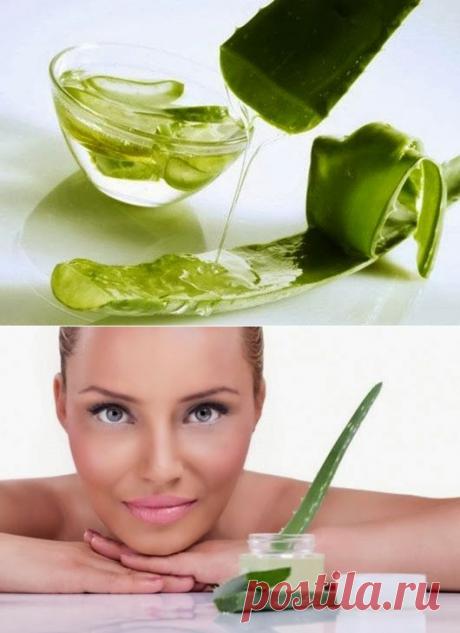 Молодость кожи: биостимулированный сок алоэ