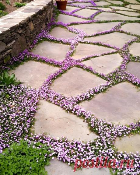 Дачникам. Этот ковер должен быть в каждом саду.