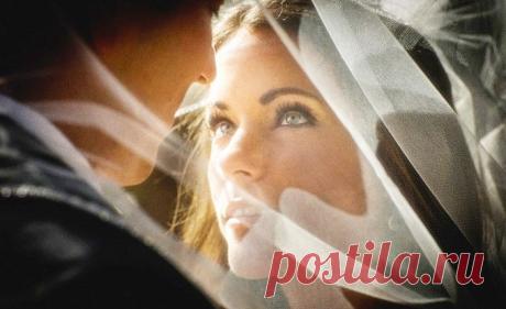 Дипломатия как искусство на примере свадьбы – Фитнес для мозга