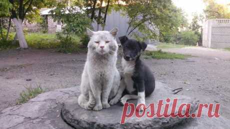 Предательство! Крик души ...