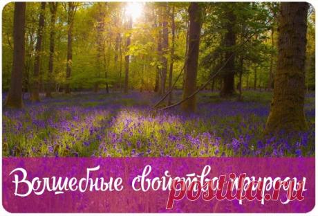 Волшебные свойства природы — Эзотерика, психология, философия