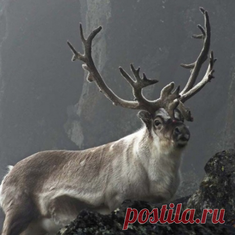 Ошибочка вышла