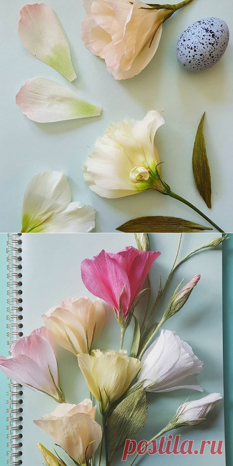 Lynn Dolan (@a.casual.florilegium) • Фото и видео в Instagram