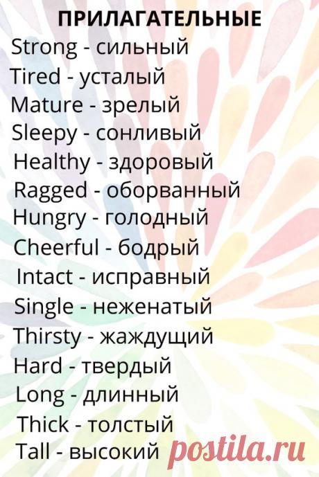 Прилагательные на английском языке с переводом на русский.