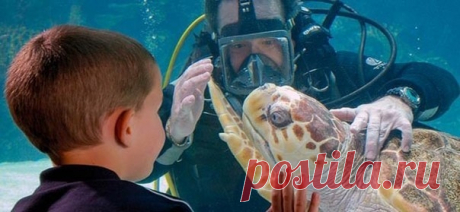 Ньюпорт Аквариум, США - Путешествуем вместе