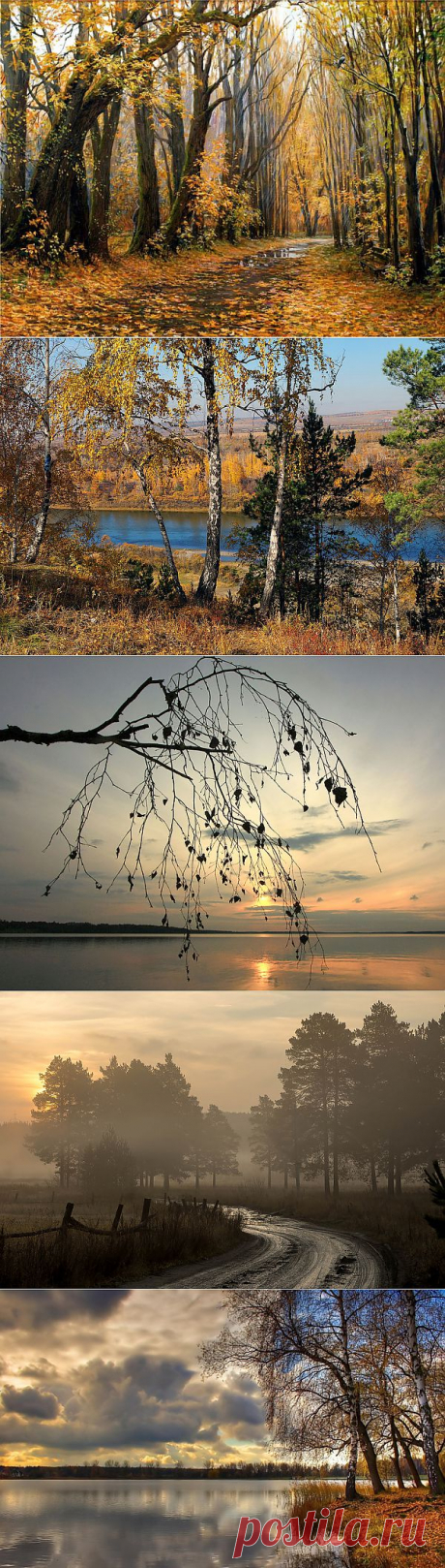 Прощальная симфония осени.