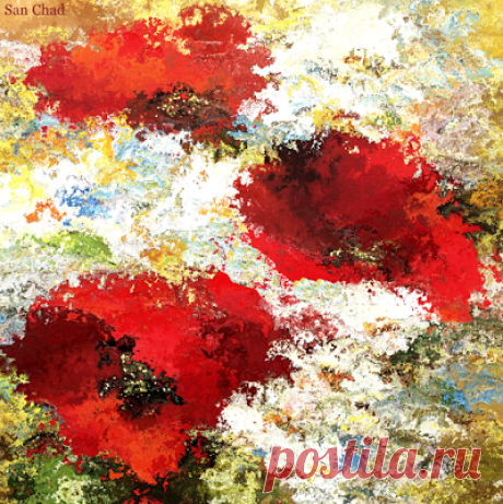 San Chad * Черных А.Д.