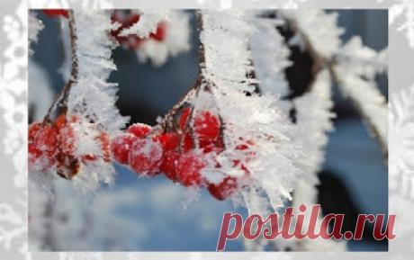 Дачное обозрение: Приметы на февраль народный календарь