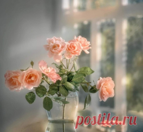 #вселенская_премудрость
Ничего не вернёшь...даже малого слова,
Ни ошибок, ни радости, ни обид,
Только кто-то окликнет меня из былого -
и душа замирает и сердце болит...
Андрей Дементьев.