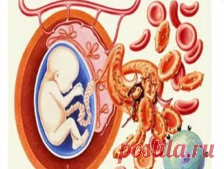 Как наследуются группы крови. Почему не всегда группы крови детей и родителей совпадают | ЗОЖ и Галка | Яндекс Дзен