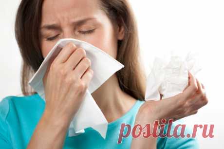 Восстановление слизистой носа народными средствами.