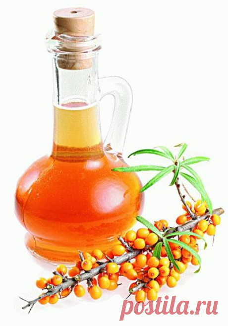 Полезное применение облепихового масла.