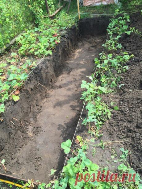 Беседка и барбекю.