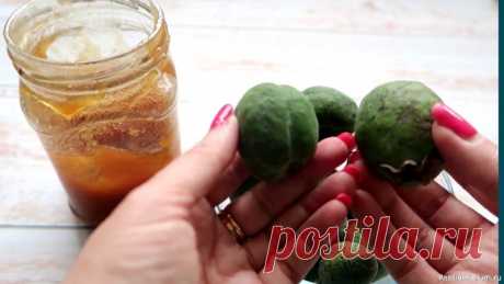 Вкусная и полезная смесь, лечит множество болезней Друзья, смесь фейхоа с медом поможет компенсировать дефицит йода. Профилактическое лечение щитовидной железы, можно использовать при заболеваниях сердечно-сосудистой системы, ангине, ларингитах, высокой возбудимости нервной системы и многих других заболеваний. ✔Делитесь пожалуйста...