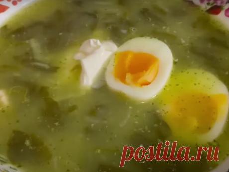 С натертой и обжаренной картошкой вкуснее: Белькович поделился секретом вкусного щавелевого супчика