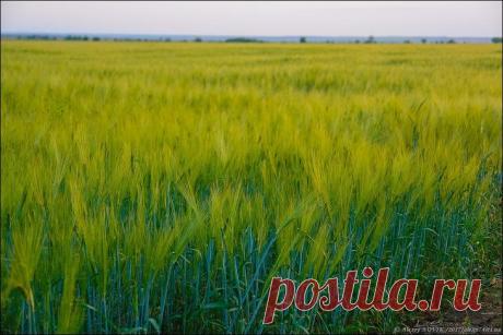 Фотопрогулки. Как уходит летний вечер