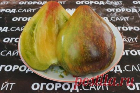 Томат Алискино сердце (Софии Сааковой), семена | ОГОРОД.сайт