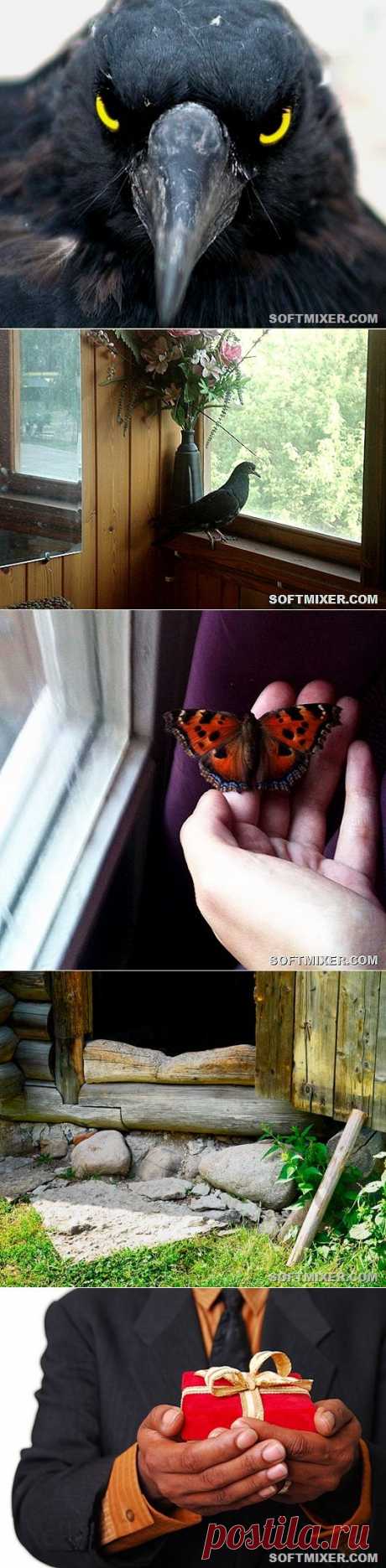 Плохая примета: как возникали суеверия... | Познавательный сайт ,,1000 мелочей"