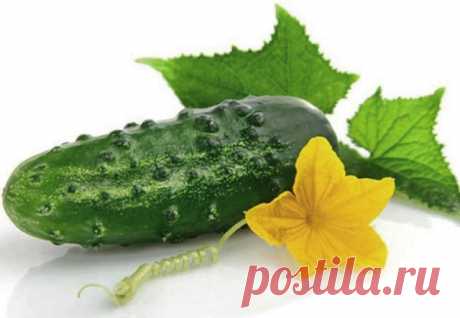 (3) Одноклассники