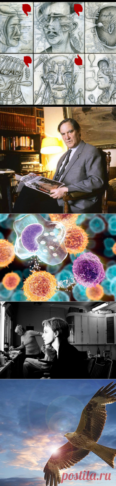 Онкология и паразиты: 3 первые схемы Евгения Лебедева