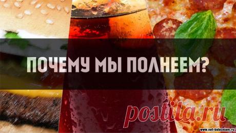 Почему мы полнеем и как сбросить вес без диет?
Проблема не является полностью американской, только в 2016 году по данным Всемирной Организации Здоровья по всей планете числилось почти 2 миллиарда людей старше 18 лет с избыточным весом.