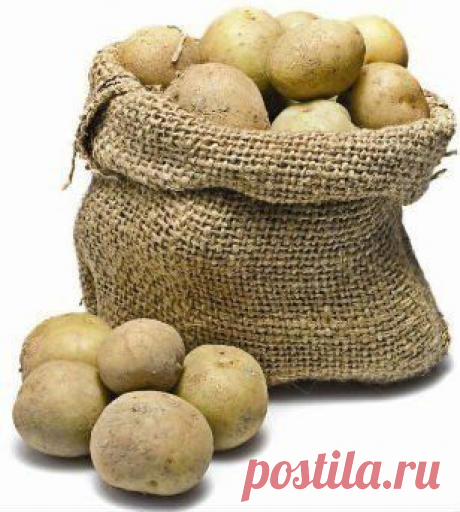 Что бы картошка не росла, положите туда яблоко.