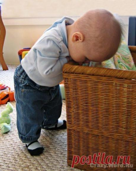 У бутузов есть маленький носик / Любимая кухня